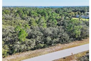 919 WILDFLOWER STREET, LAKE PLACID, FL 33852 - MLS#MFRTB8354078