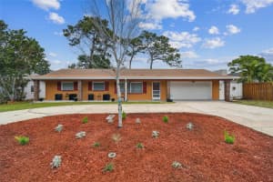 1290 MICHIGAN BOULEVARD, DUNEDIN, FL 34698 Sold 03/14/25