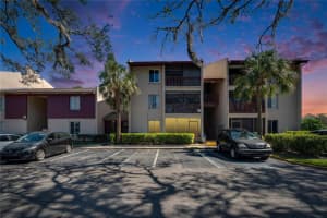3853 LAKE DRIVE, TAMPA, FL 33614 Sold 04/23/25