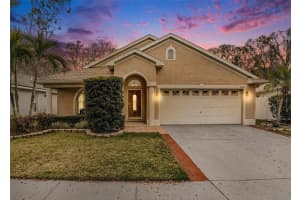 5640 TUGHILL DRIVE, TAMPA, FL 33624 Sold 04/03/25