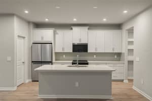 3459 TIMBER CROSSING AVENUE, BRANDON, FL 33511 Sold 04/25/25