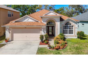 7743 BINGHAM COURT, TAMPA, FL 33625 Sold 06/02/25