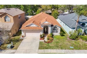 7743 BINGHAM COURT, TAMPA, FL 33625 Sold 06/02/25
