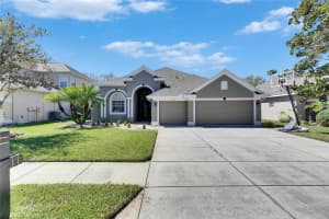 3537 VALENCIA COVE COURT, LAND O LAKES, FL 34639 Sold 06/23/25