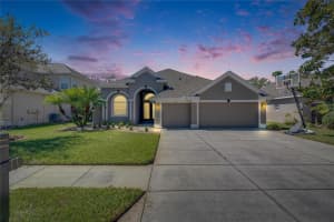 3537 VALENCIA COVE COURT, LAND O LAKES, FL 34639 Sold 06/23/25