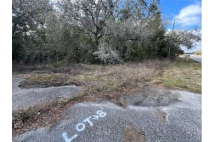 UNKNOWN HAYS ROAD, HUDSON, FL 34669 - MLS#MFRTB8354401