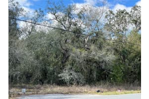 UNKNOWN HAYS ROAD, HUDSON, FL 34669 - MLS#MFRTB8354401