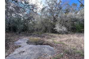 UNKNOWN HAYS ROAD, HUDSON, FL 34669 - MLS#MFRTB8354401