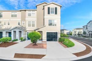 4405 Tuscan Loon Dr, TAMPA
