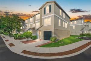 4405 TUSCAN LOON DRIVE, TAMPA, FL 33619 - MLS#MFRTB8354404