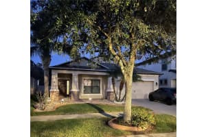11648 Palmetto Pine St, RIVERVIEW