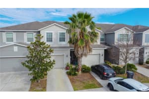 10518 LAKE MONTAUK DRIVE, RIVERVIEW, FL 33578 Sold 06/04/25