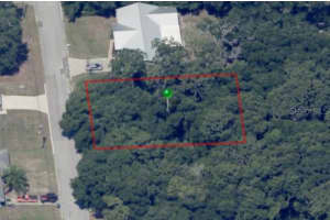 204 ADELPHI STREET, INVERNESS, FL 34452 - MLS#MFRTB8354537
