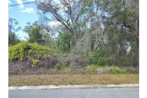 204 ADELPHI STREET, INVERNESS, FL 34452 - MLS#MFRTB8354537