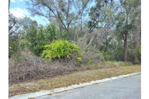204 ADELPHI STREET, INVERNESS, FL 34452 - MLS#MFRTB8354537