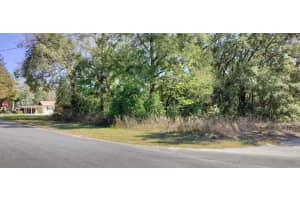 517 SAVARY AVENUE, INVERNESS, FL 34453 - MLS#MFRTB8354539