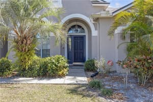 10221 ASHLEY OAKS DRIVE, RIVERVIEW, FL 33578 - MLS#MFRTB8354683