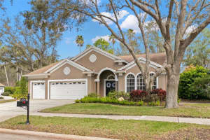 4243 TREMBLAY WAY, PALM HARBOR, FL 34685 Sold 05/16/25