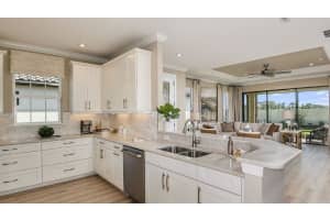 29463 VELLETRI LANE, WESLEY CHAPEL, FL 33543 Sold 06/10/25