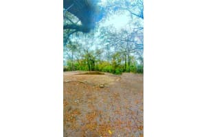 3891 ELFERS PARKWAY, NEW PORT RICHEY, FL 34655 Sold 04/03/25