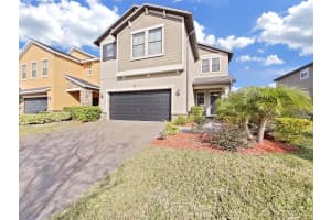 943 TERRA VISTA ST, BRANDON, FL 33511 Sold 04/24/25