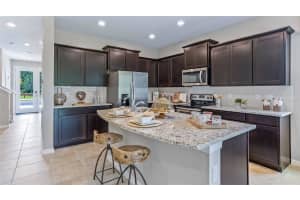 11343 CRESCENT DEER DRIVE, LAND O LAKES, FL 34638 Sold 04/11/25