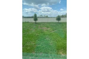 11517 TIMBER GROVE LANE, BROOKSVILLE, FL 34613 - MLS#MFRTB8354909