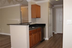 18415 BRIDLE CLUB DRIVE, TAMPA, FL 33647 Sold 04/16/25