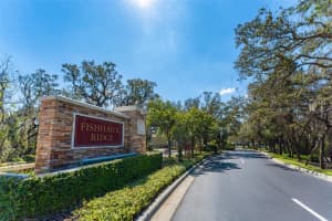 5712 FISHHAWK RIDGE DR, LITHIA, FL 33547 Sold 03/25/25