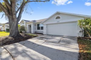 12050 STONE CROSSING CIRCLE, TAMPA, FL 33635 Sold 04/24/25