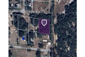 LAUREL AVE, LAKE WALES, FL 33898 Sold 03/26/25