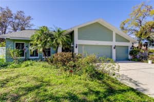 12009 Steppingstone Blvd, TAMPA