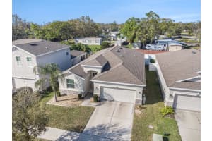 10604 SCENIC HOLLOW DRIVE, RIVERVIEW, FL 33578 - MLS#MFRTB8355083