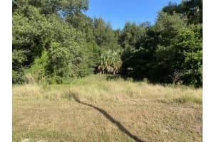 US-441, EUSTIS, FL 32726 - MLS#MFRTB8355087