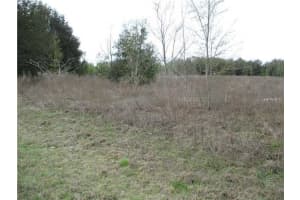 NW 56TH CT, OCALA, FL 34481 - MLS#MFRTB8355110