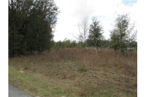 NW 56TH CT, OCALA, FL 34481 - MLS#MFRTB8355110