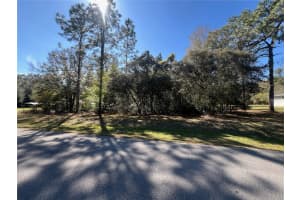 00 SW 196TH AVENUE, DUNNELLON, FL 34431 - MLS#MFRTB8355239