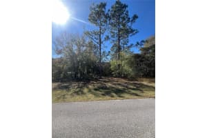 00 SW 196TH AVENUE, DUNNELLON, FL 34431 - MLS#MFRTB8355239