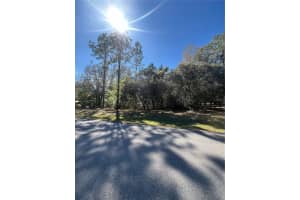 00 SW 196TH AVENUE, DUNNELLON, FL 34431 - MLS#MFRTB8355239