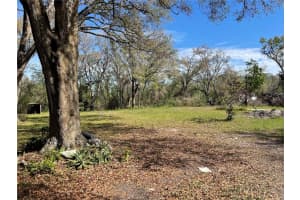 38347 HIGGINSON ROAD, ZEPHYRHILLS, FL 33540 Sold 05/22/25