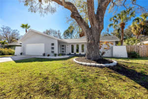 1100 Webb Dr, CLEARWATER
