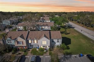 16143 RAMBLING VINE DRIVE, TAMPA, FL 33624 - MLS#MFRTB8355302