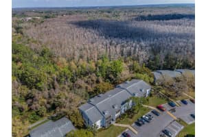 1182 PINE RIDGE CIRCLE, TARPON SPRINGS, FL 34688 - MLS#MFRTB8355315