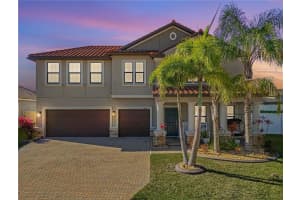 11965 Cinnamon Fern Dr, RIVERVIEW