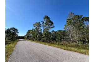 541 EMBRACER STREET, LAKE PLACID, FL 33852 - MLS#MFRTB8355414