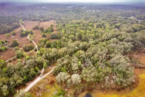 2302 EISENHOWER STREET, INVERNESS, FL 34453 Sold 04/20/25