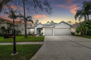 12037 MOUNTBATTEN DRIVE, TAMPA, FL 33626 Sold 04/03/25
