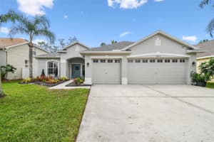 12037 MOUNTBATTEN DRIVE, TAMPA, FL 33626 Sold 04/03/25