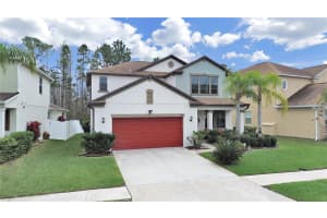 4136 SHREWBURY PLACE, LAND O LAKES, FL 34638 - MLS#MFRTB8355460