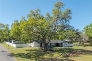 4814 Knights Loop, PLANT CITY